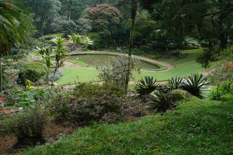 Sri Lanka, Xakgala Botanical Garden